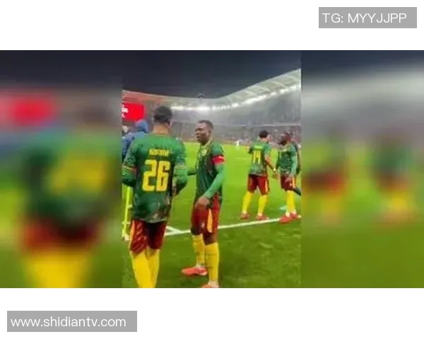 巴莱巴:我在里尔学到了许多;巴望跟从喀麦隆赢得非洲杯 巴莱巴:我在里尔学到了许多;巴望跟从喀麦隆赢得非洲杯